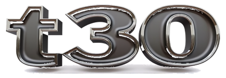 t30 logo